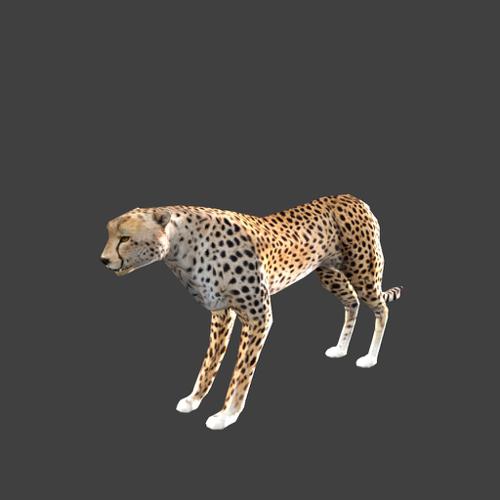low poly cheetah with rig preview image